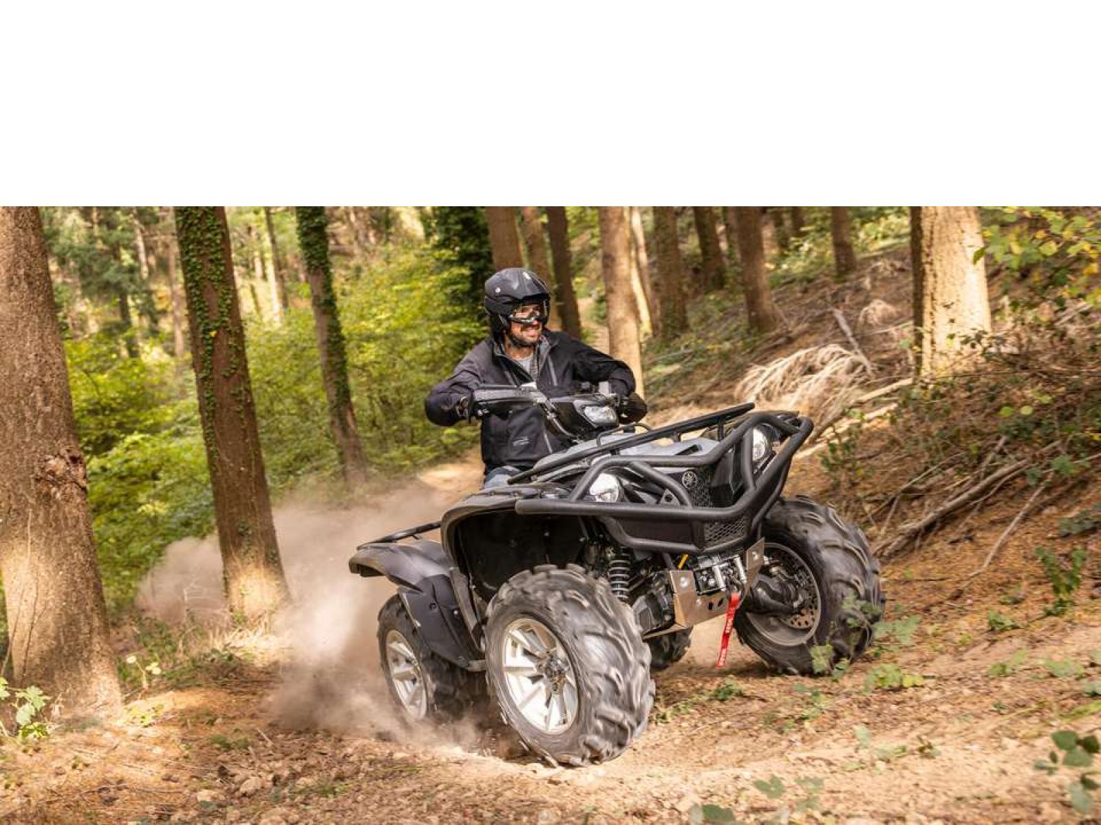 Мотовездеход ATV YAMAHA Grizzly 700 EPS SE 25 TH Anniversary (Low Gloss Black) 2024